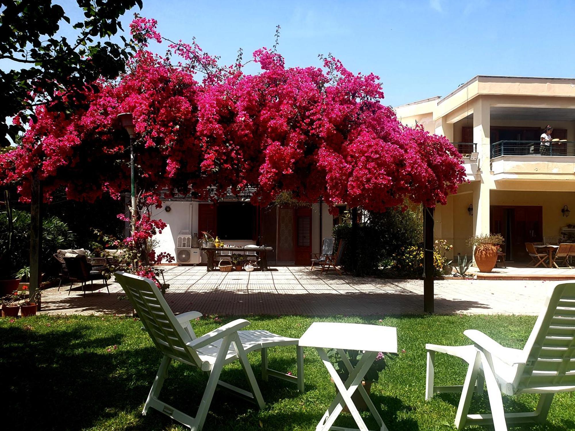 La Depandance Di Rosa Locazioni Brevi Mondello
