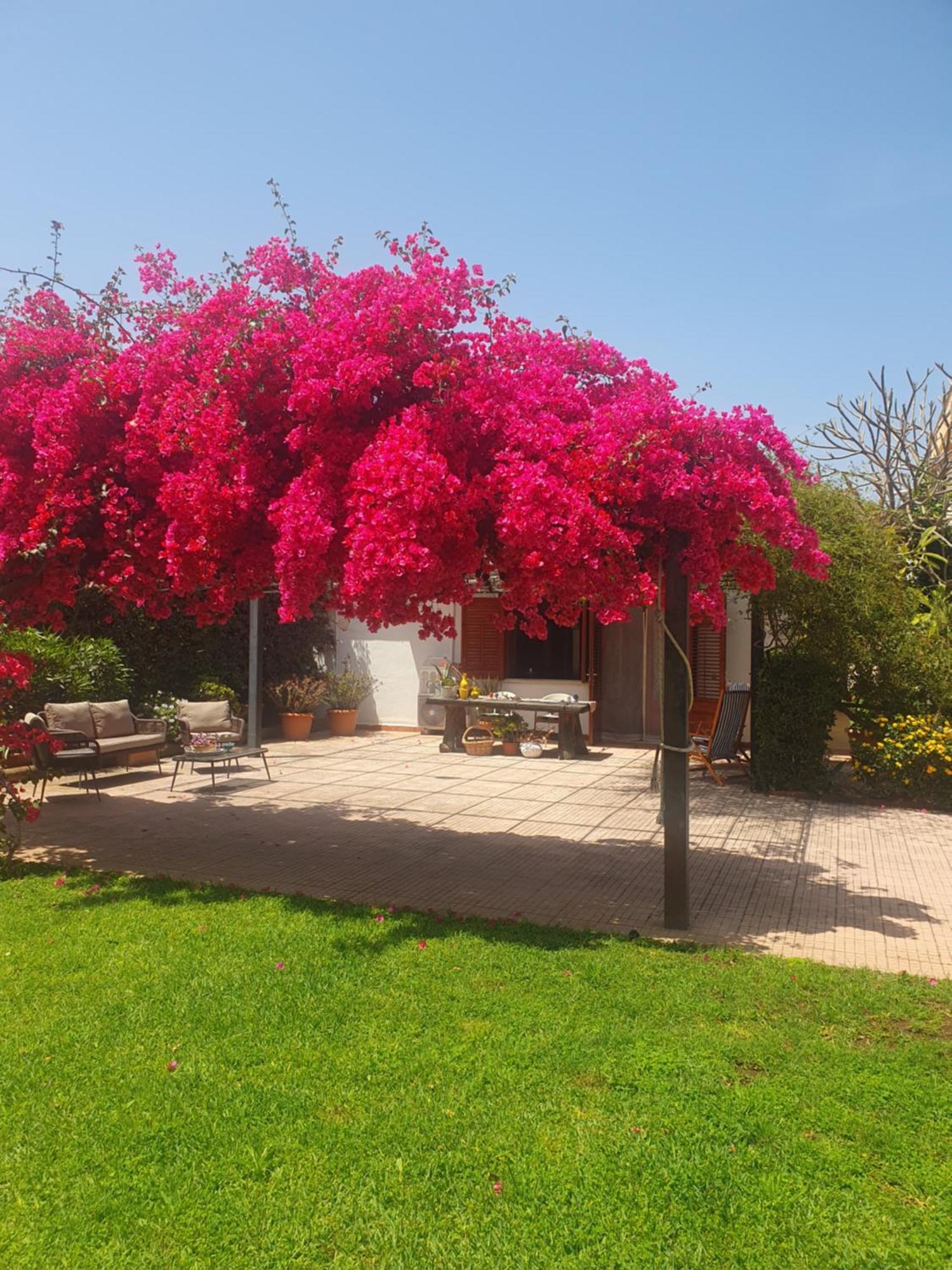 Holiday home La Depandance Di Rosa Locazioni Brevi Mondello
